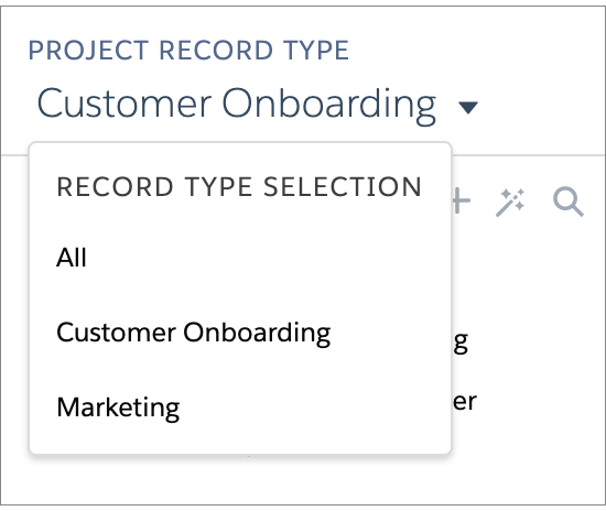 Project_Record_Type_in_Sidebar.png
