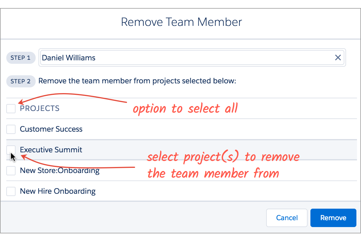 Add and Remove Project Members - BlueRithm Knowledge Base