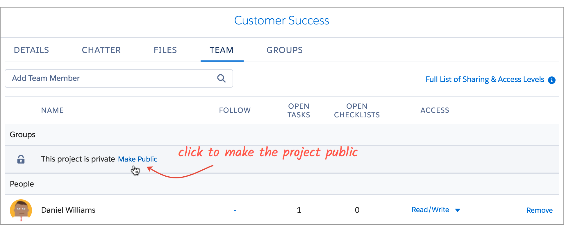 make_project_public__1_.png